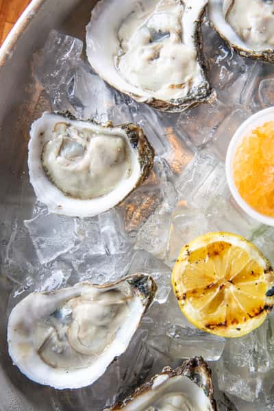 Fresh Oysters