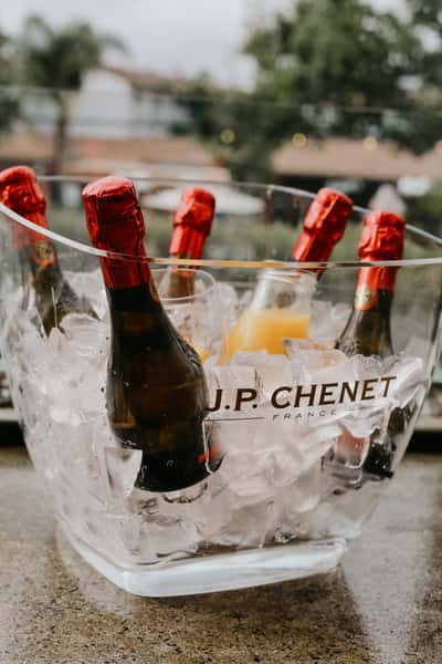 mimosa bucket