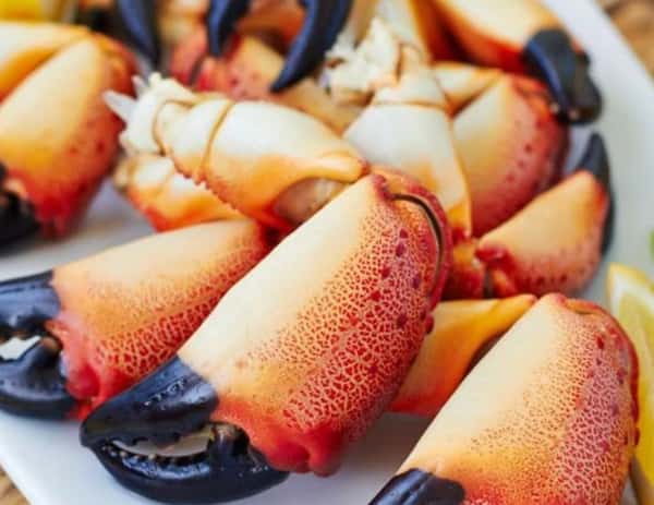 Stone Crab