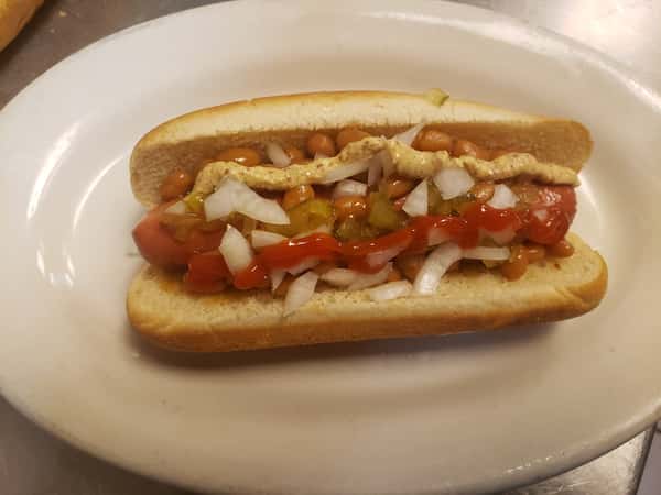 Boston Dog