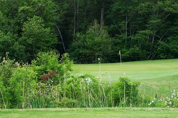 golf course