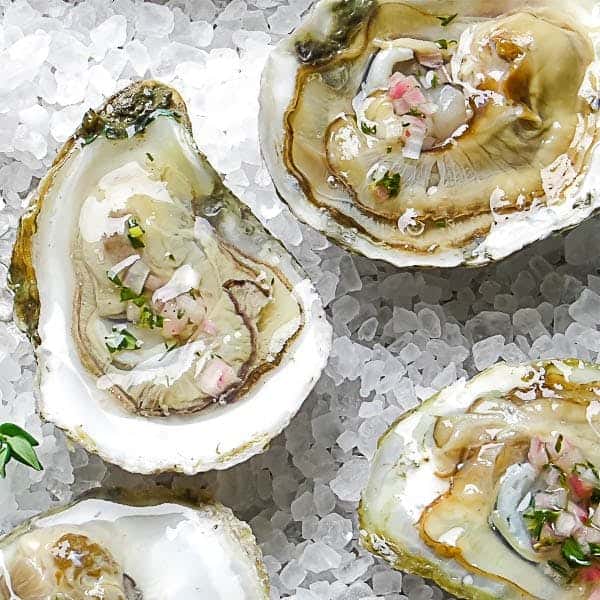 Live Oysters - James River, Va