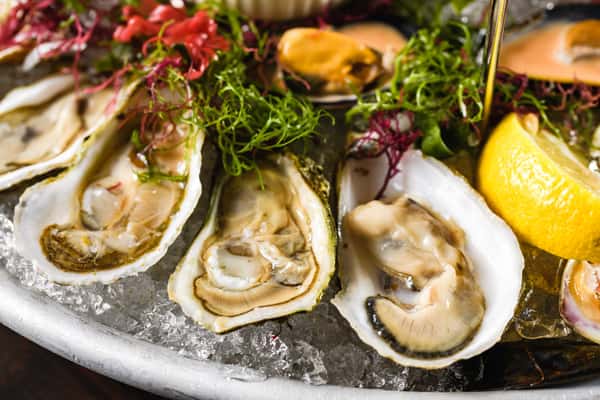 Oysters on the Half Shell*