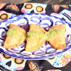 Chicken Empanadas