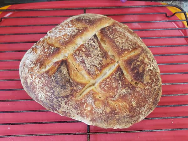 Bread