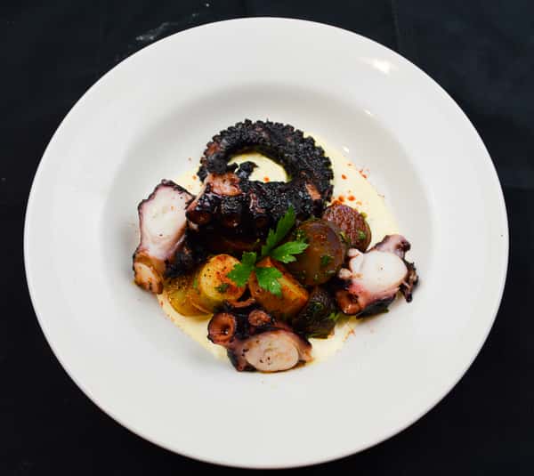 PULPO