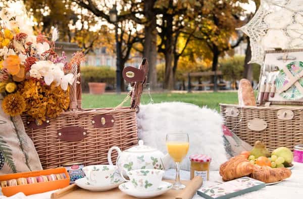 Proposal Picnic