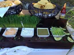 Taco Station