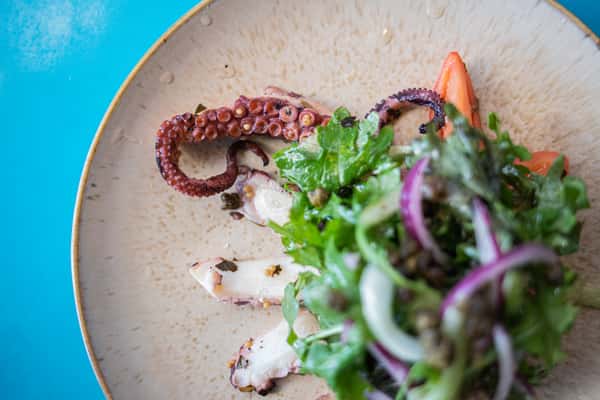 Pulpo