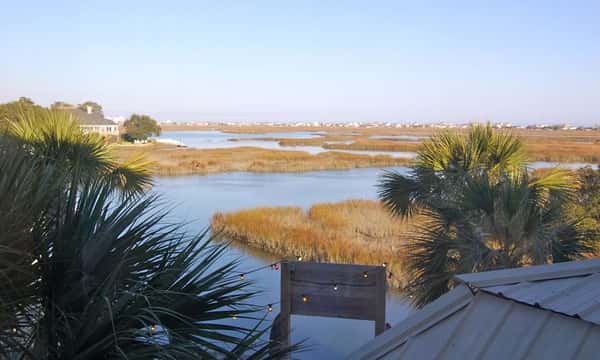 marsh