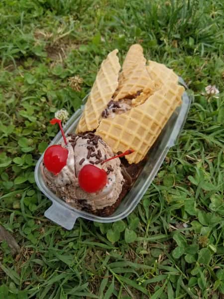 Cicada Sundae