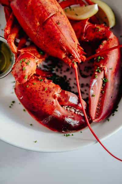lobster boil