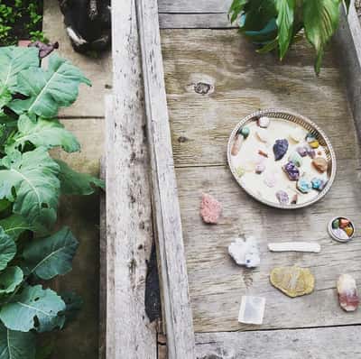 Plants and Crystals