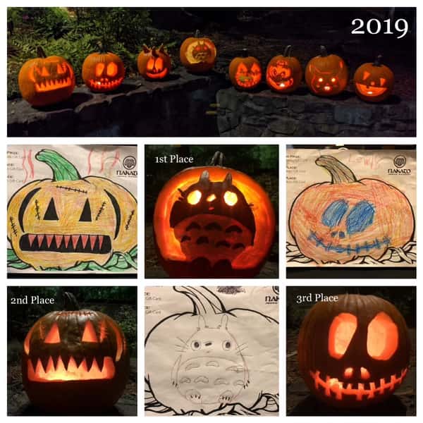 Halloween Pumpkin Design Contest