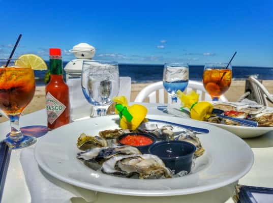 oyster on beach