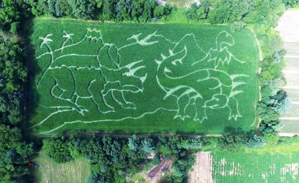 dinosaur maze
