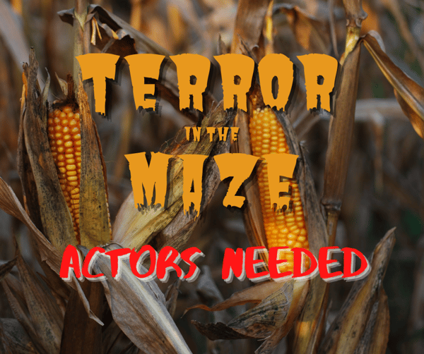 corn maze