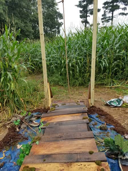 wooden walkway