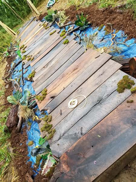 wooden walkway