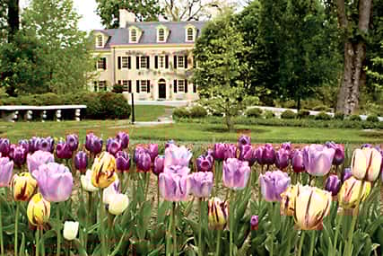 exterior view with flowers