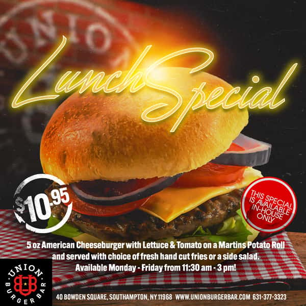 LUNCH SPECIAL $10.95