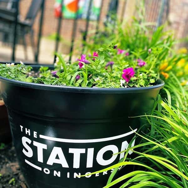 planter