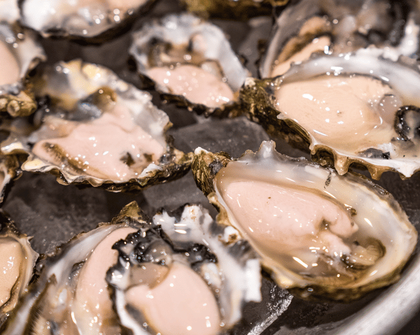Grassy Bar Oysters