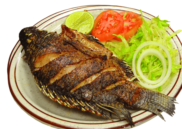 pescado