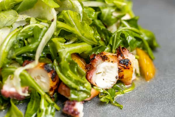 Grilled Octopus