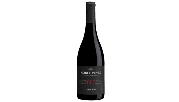 Noble Vines "667" Pinot Noir (California, USA)