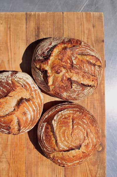 House made organic sourdough