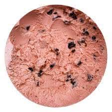 Cruise Flight (Chocolate Chip)