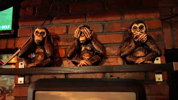 Ginger Monkey Gastropub