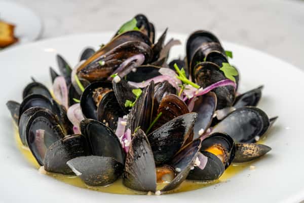 Maine Mussels