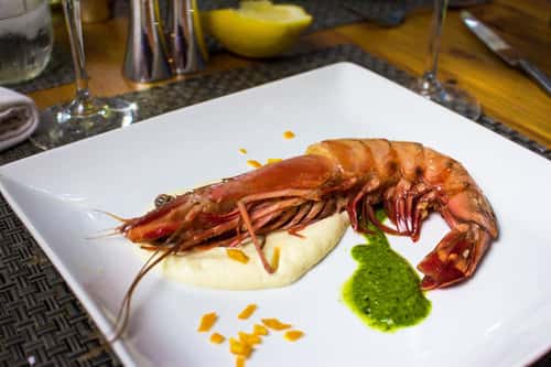 Prawn