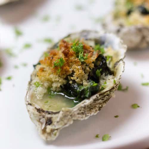 oyster