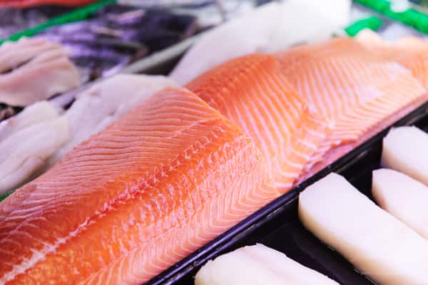 Salmon Fillet