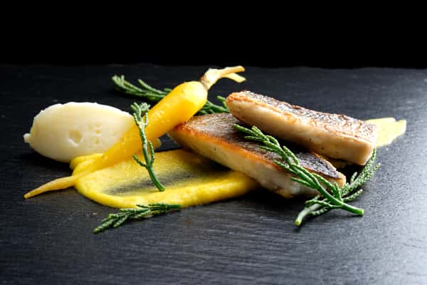 Pan-roasted seabass on yellow carrot puree