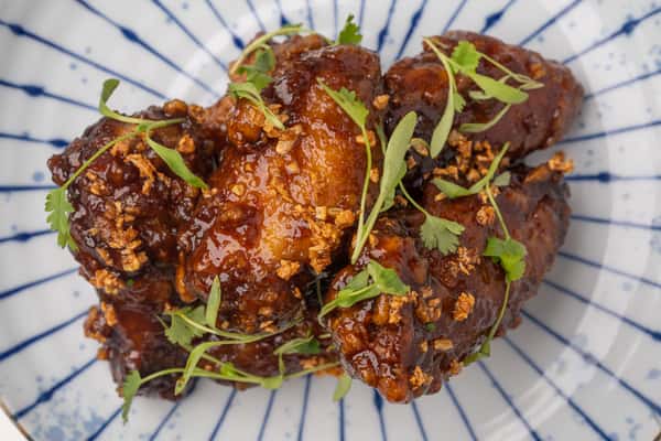 Craft Wings