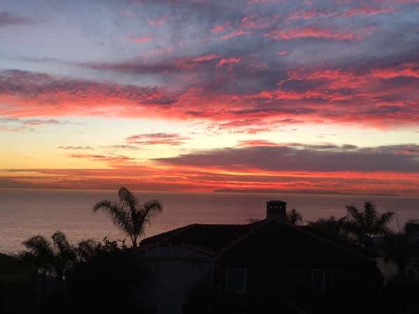 Coyote Grill Laguna Beach Mexican Restaurant in LAGUNA BEACH, CA