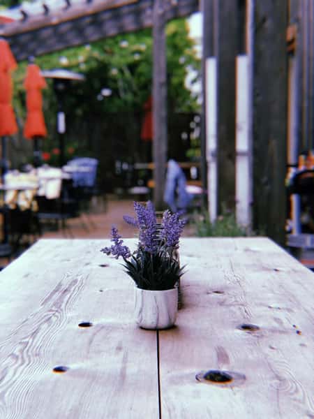Wooden table with lavendar plant decor