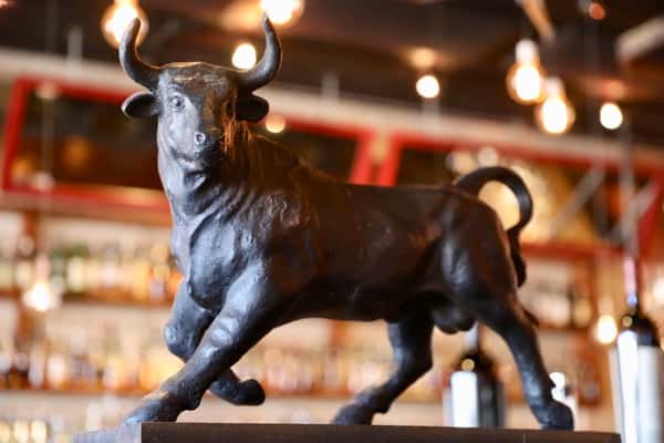 bull