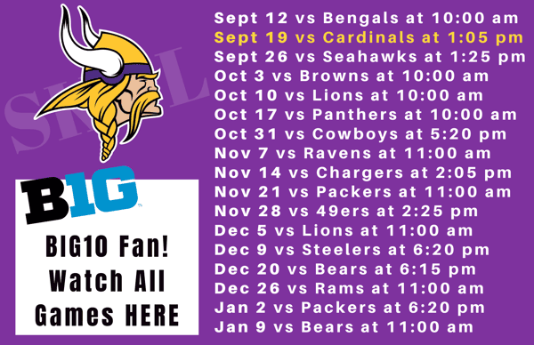 Vikings Schedule