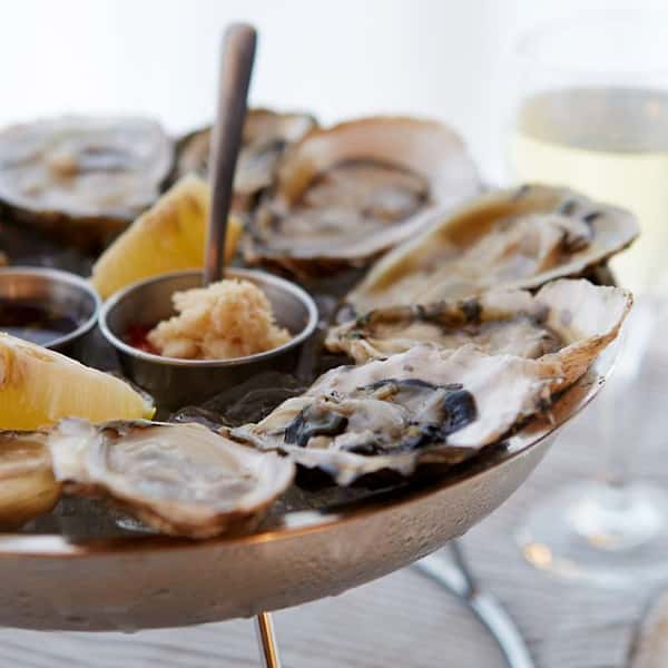 Oysters