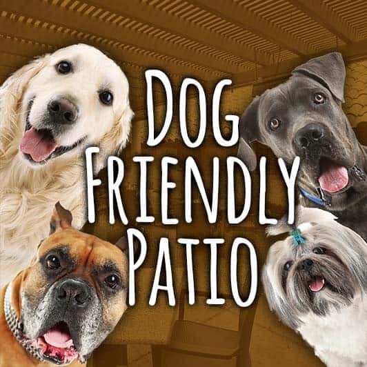 dog friendly patio