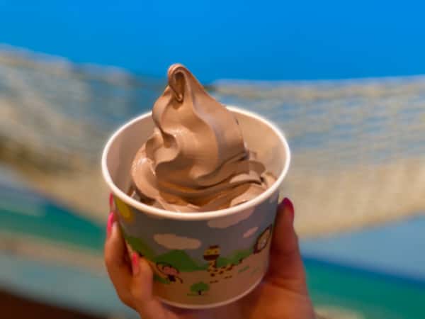 Frozen Yogurt