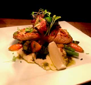salmon