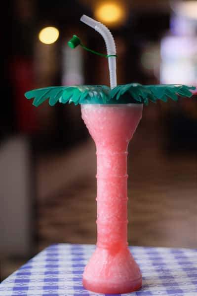 palm tree