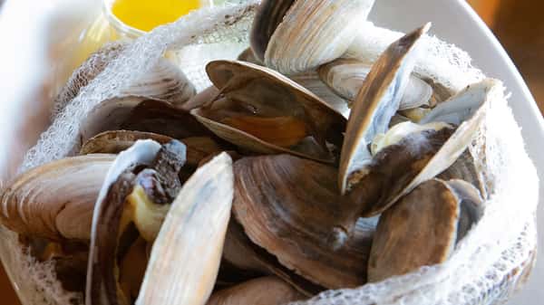 Fresh Maine Steamers