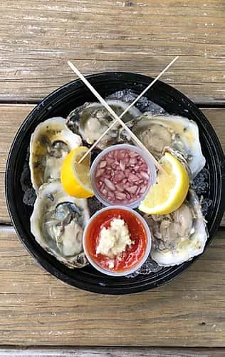 oyster